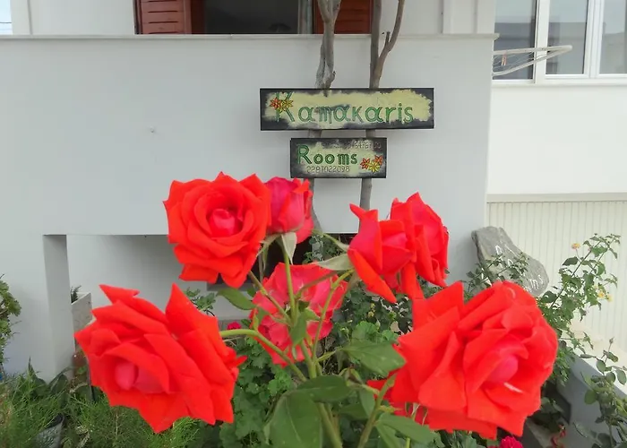 Kamakaris アダマス